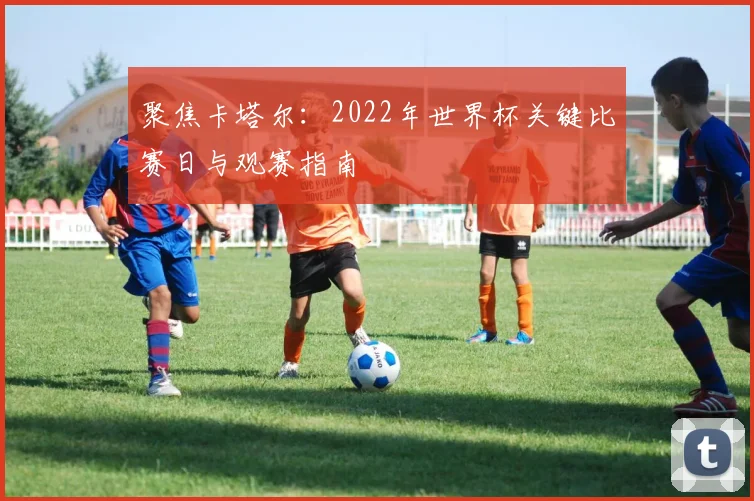 聚焦卡塔尔:2022年世界杯关键比赛日与观赛指南