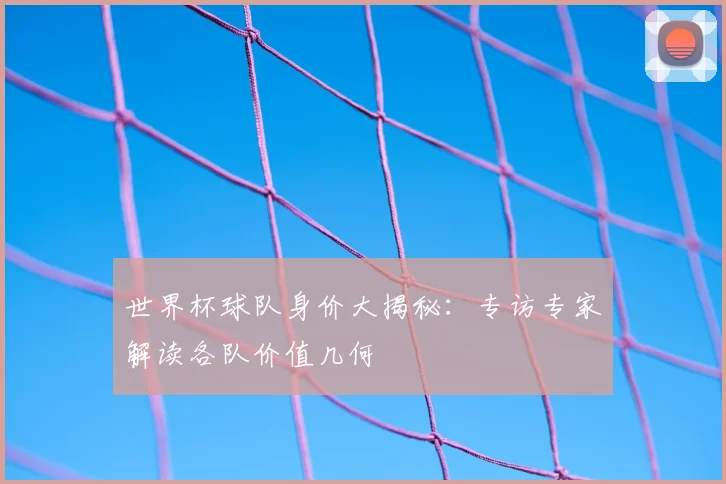 世界杯球队身价大揭秘：专访专家解读各队价值几何