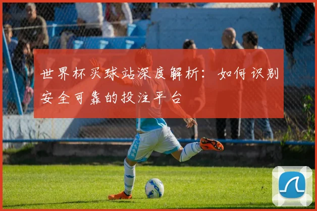 世界杯买球站深度解析：如何识别安全可靠的投注平台