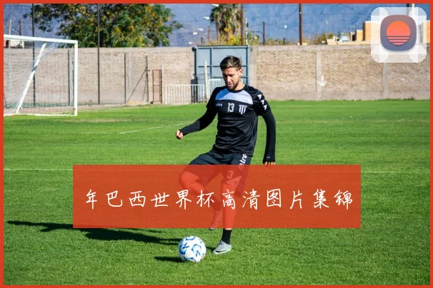 年巴西世界杯高清图片集锦