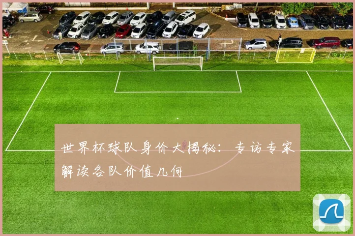 世界杯球队身价大揭秘：专访专家解读各队价值几何