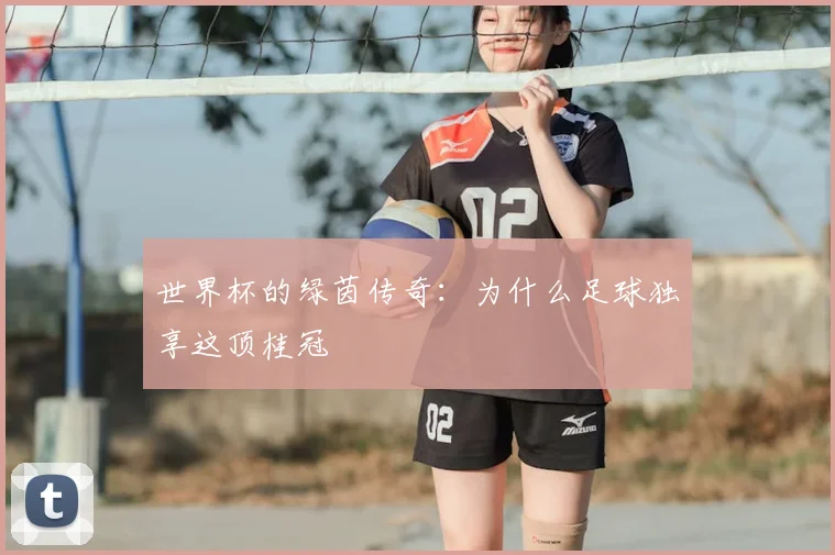 世界杯的绿茵传奇:为什么足球独享这顶桂冠