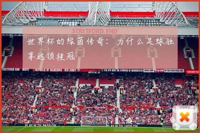 世界杯的绿茵传奇：为什么足球独享这顶桂冠