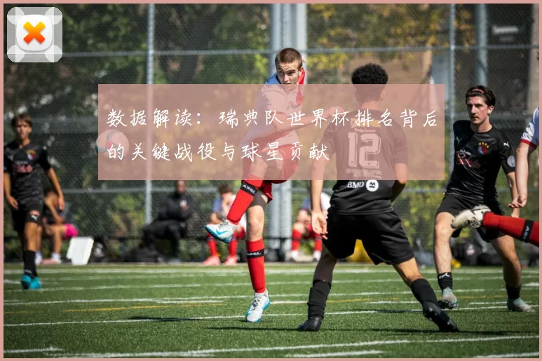 数据解读：瑞典队世界杯排名背后的关键战役与球星贡献